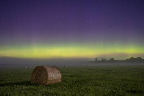 Вятские туманные ночи