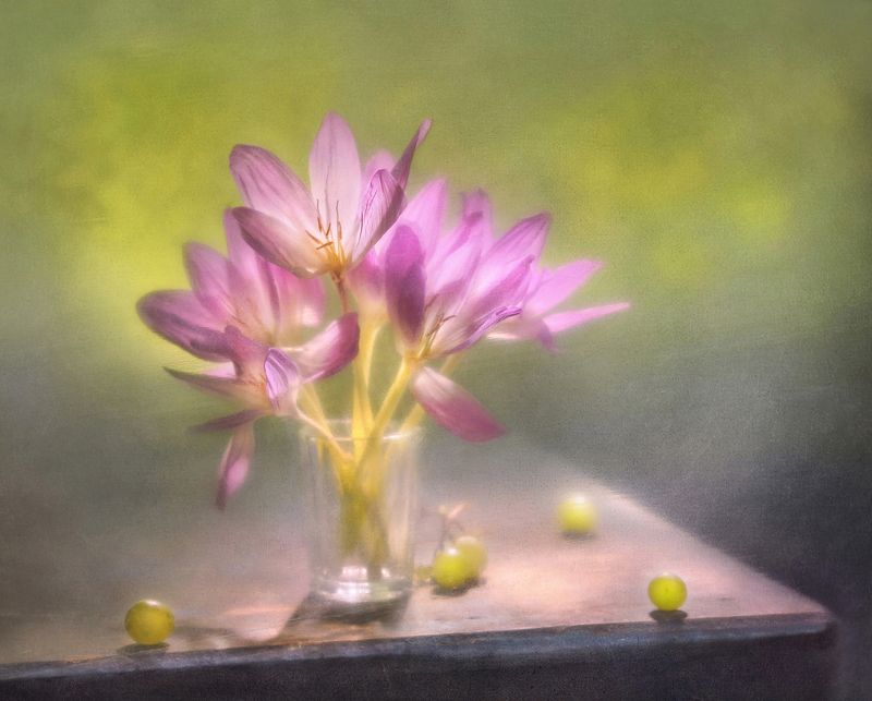 Тепло осени фото превью