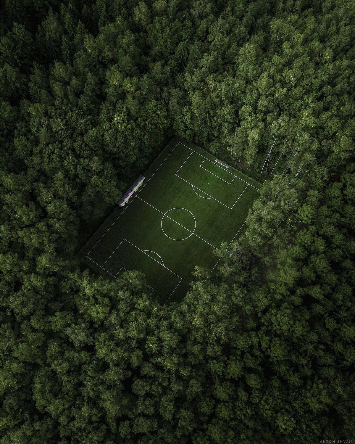 , Антон Шваин