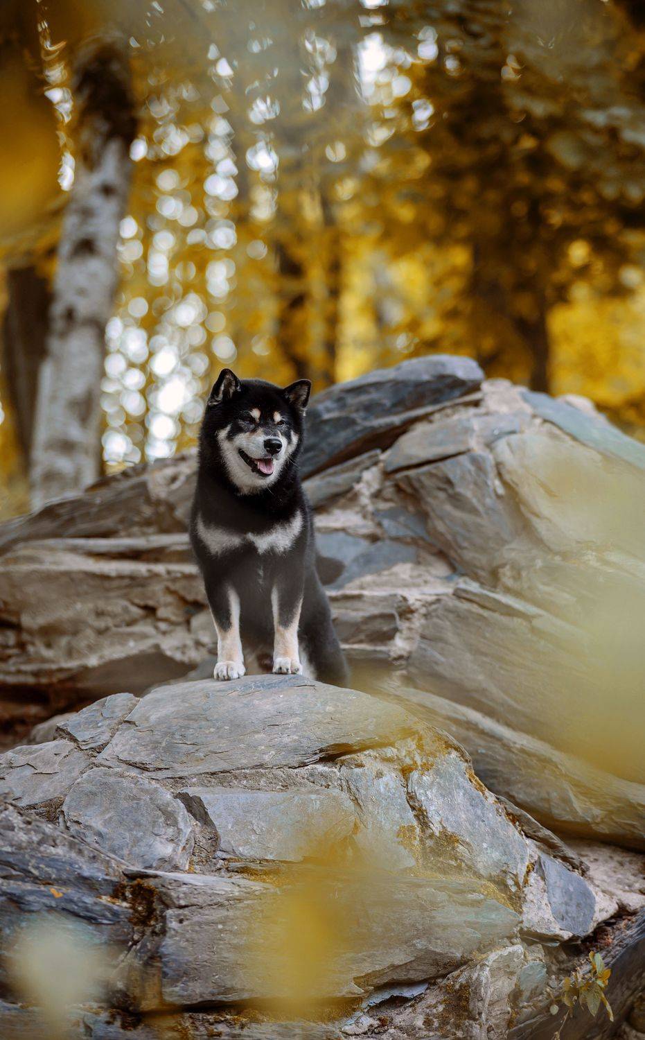 , Коптилина Галина