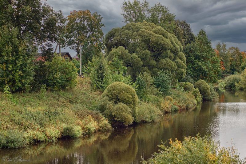 *** фото превью