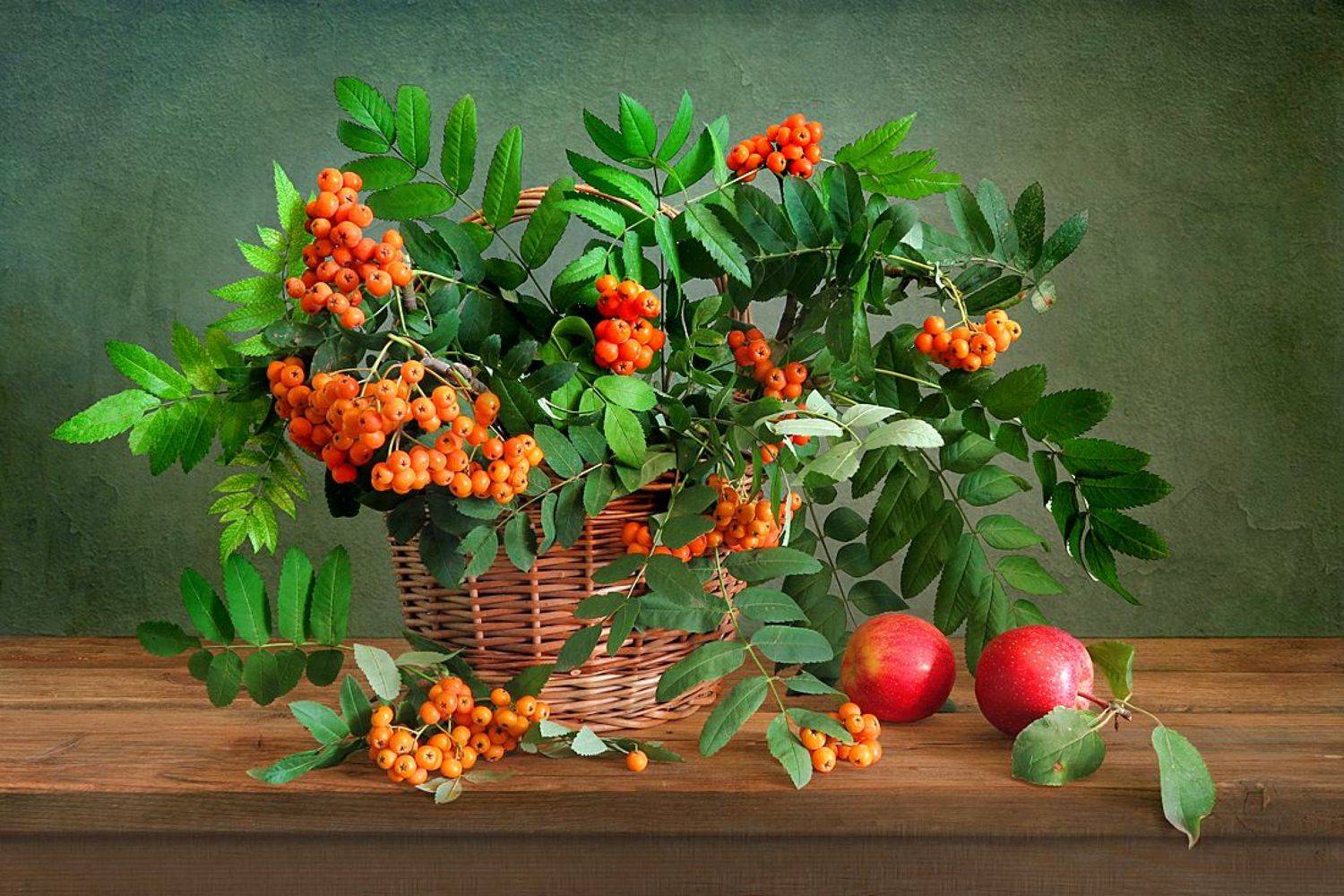 натюрморт,рябина,корзина,яблоки, Алла Шевченко