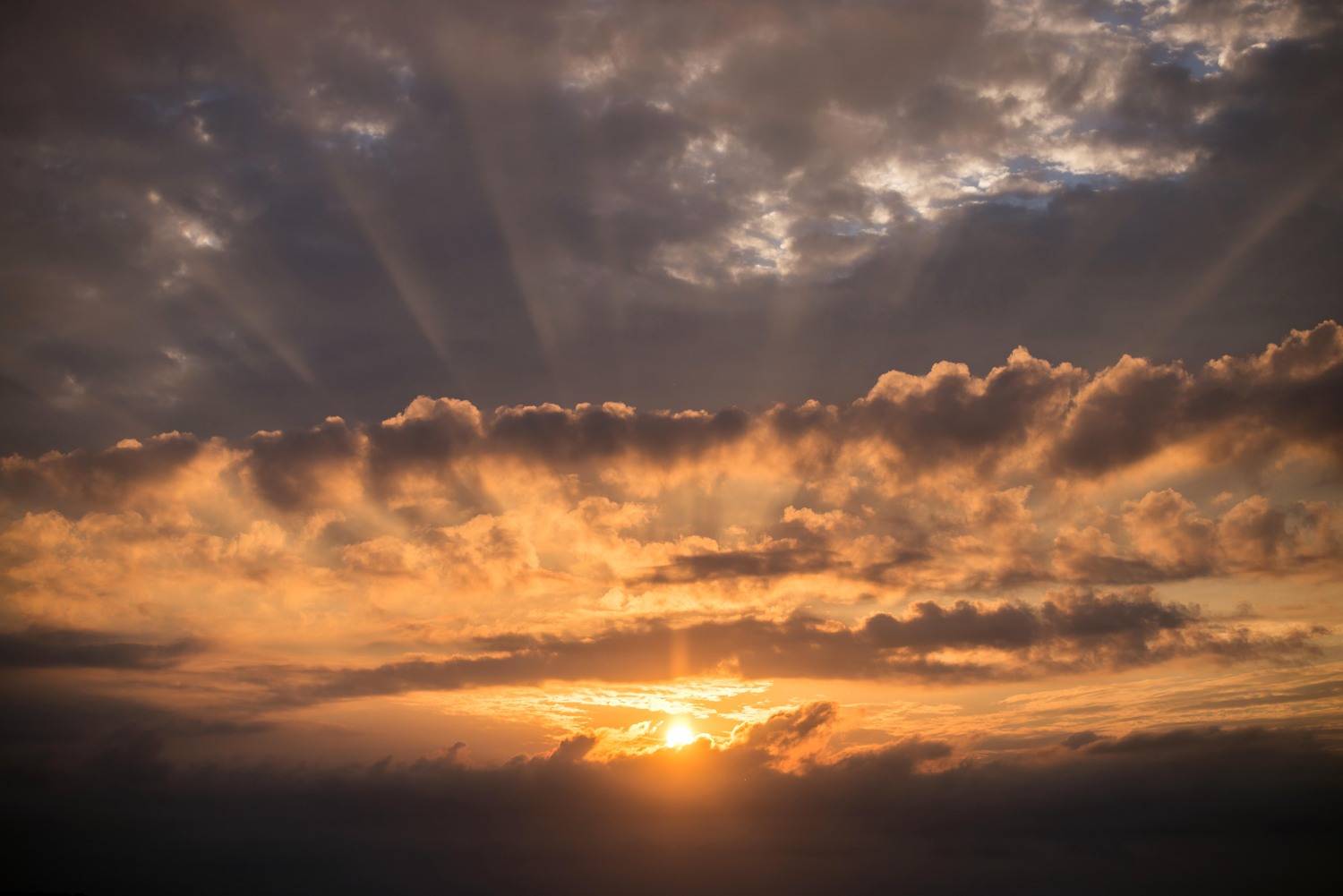 #закат, Мария Чепрасова