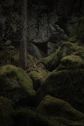 Искусство зодчего леса