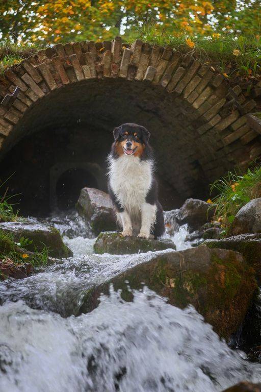 , Андрей Ершов