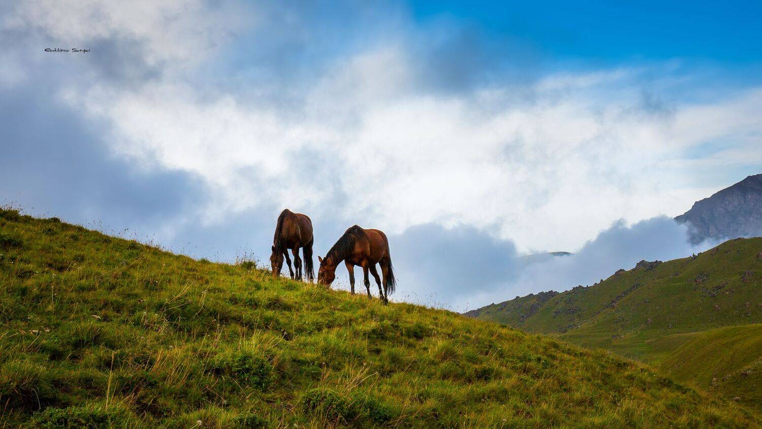 , Сергей Евдокимов