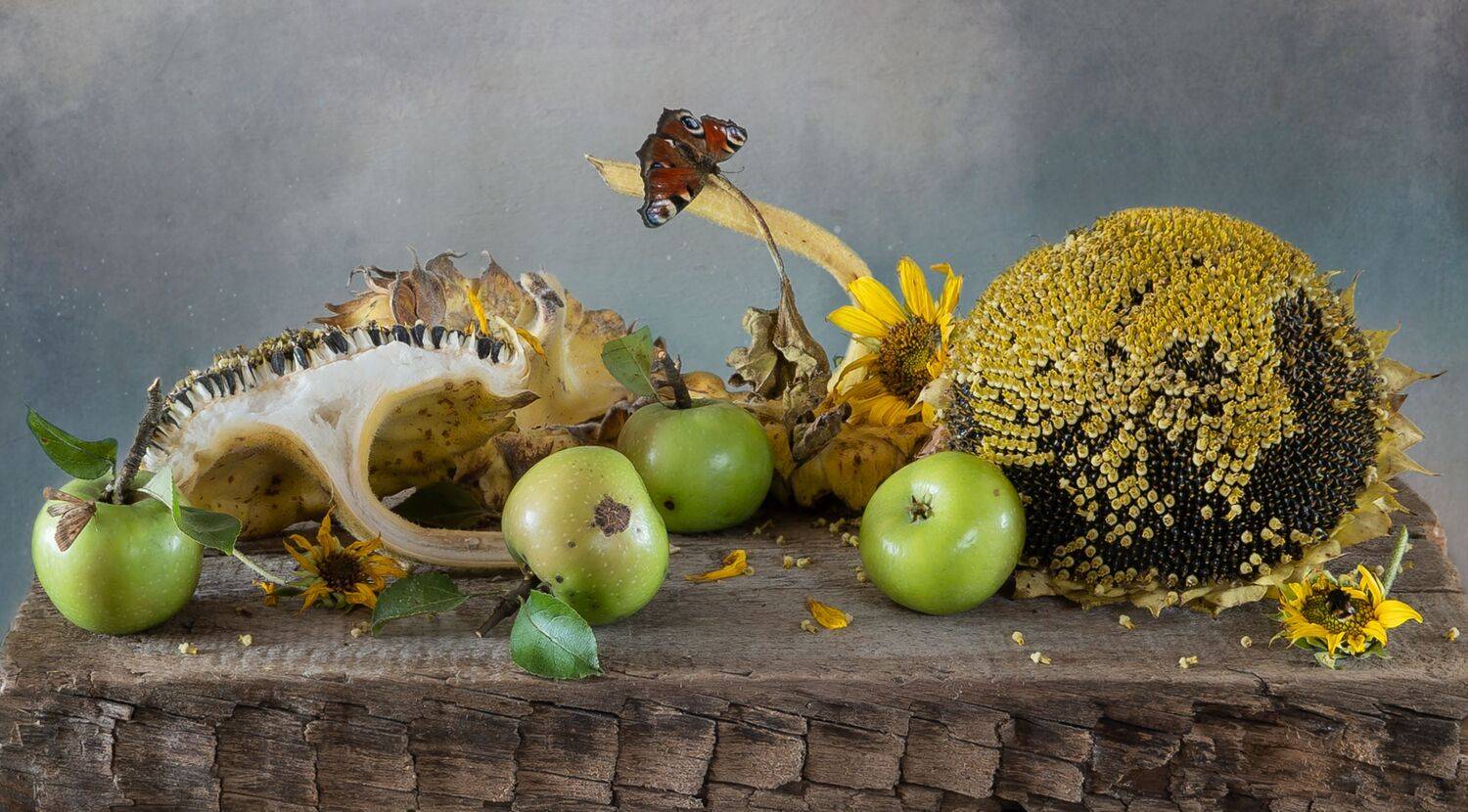 бабочки, яблоки, подсолнухи, шмель, сентябрь, Галина Тришина