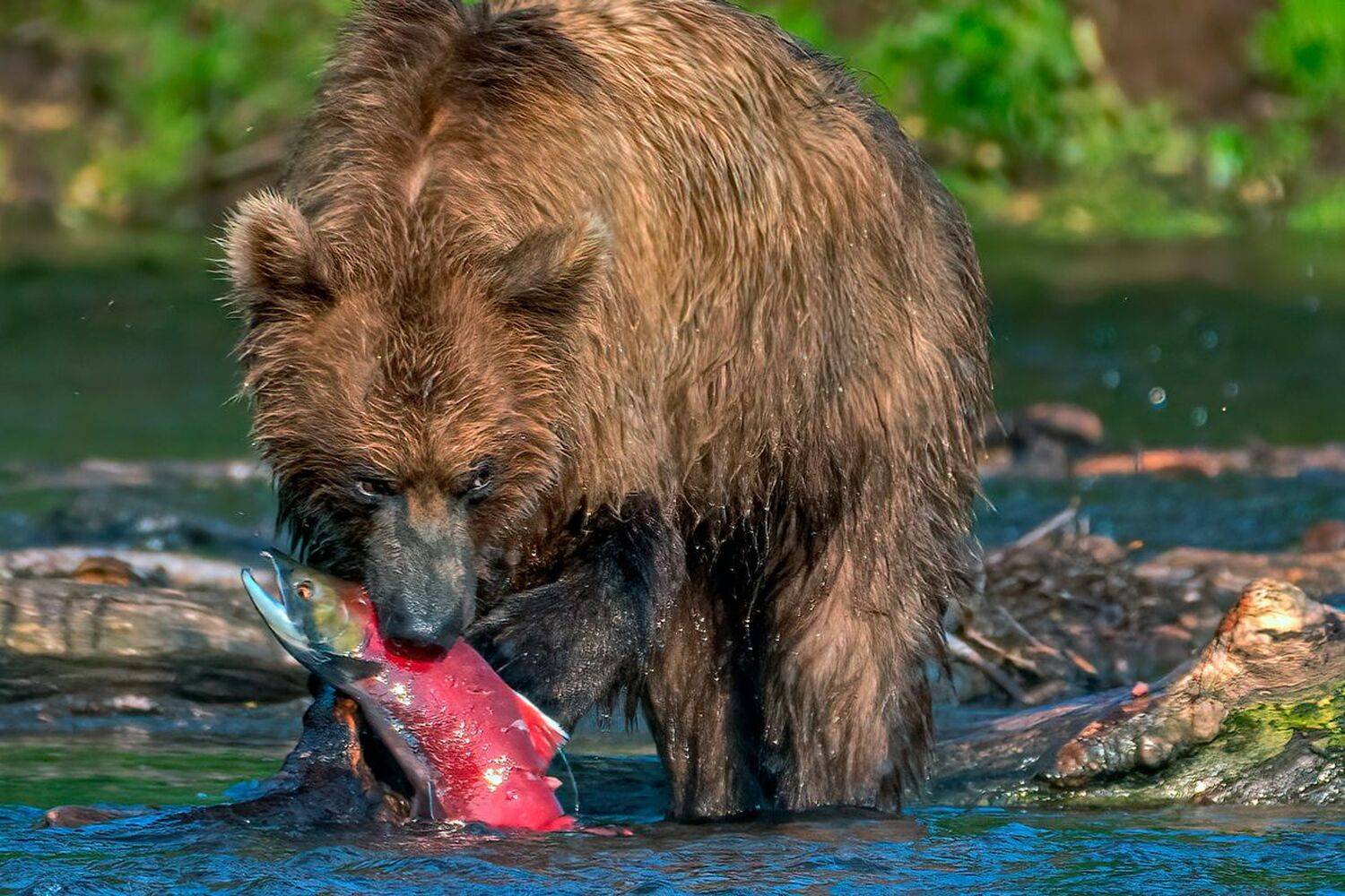 , Юрий Гордонов