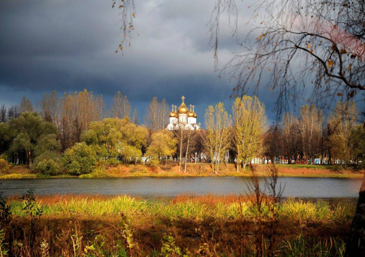 , Дарья Васильева