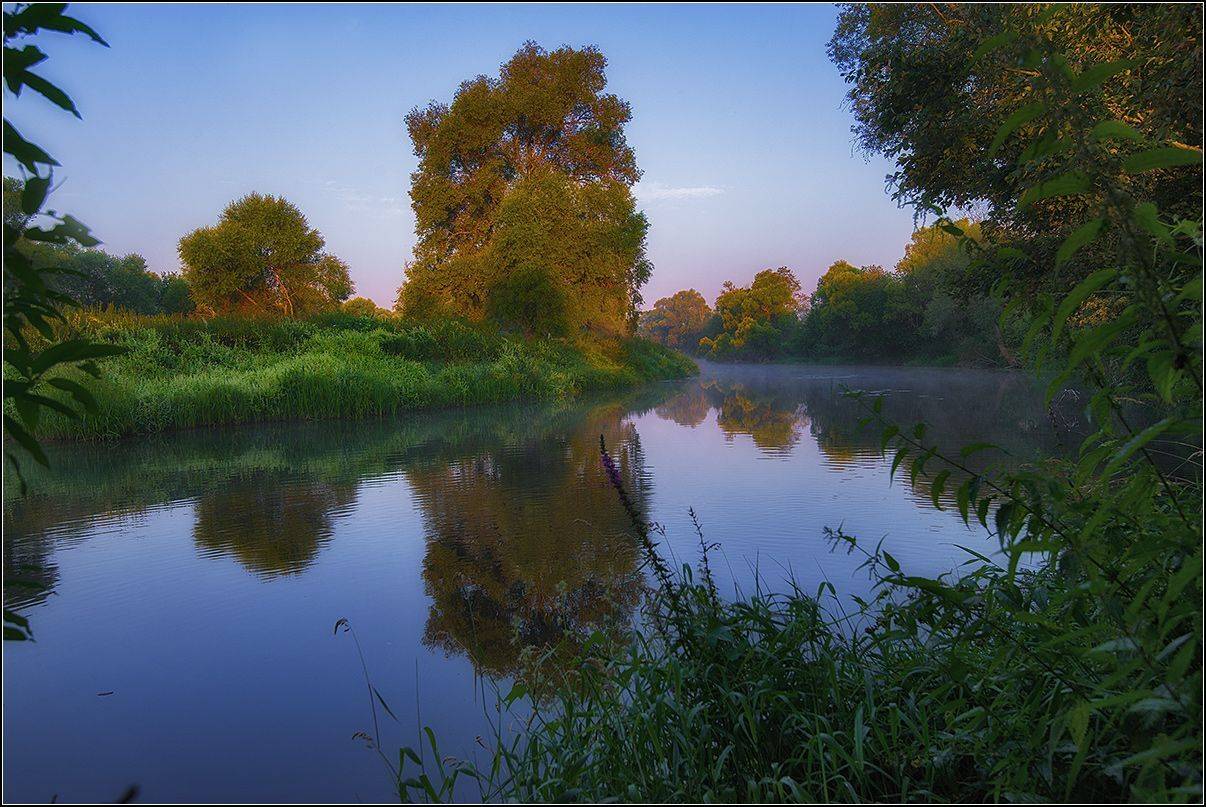 калужская обл. р. протва, утро, АНАТОЛИЙ ДОВЫДЕНКО