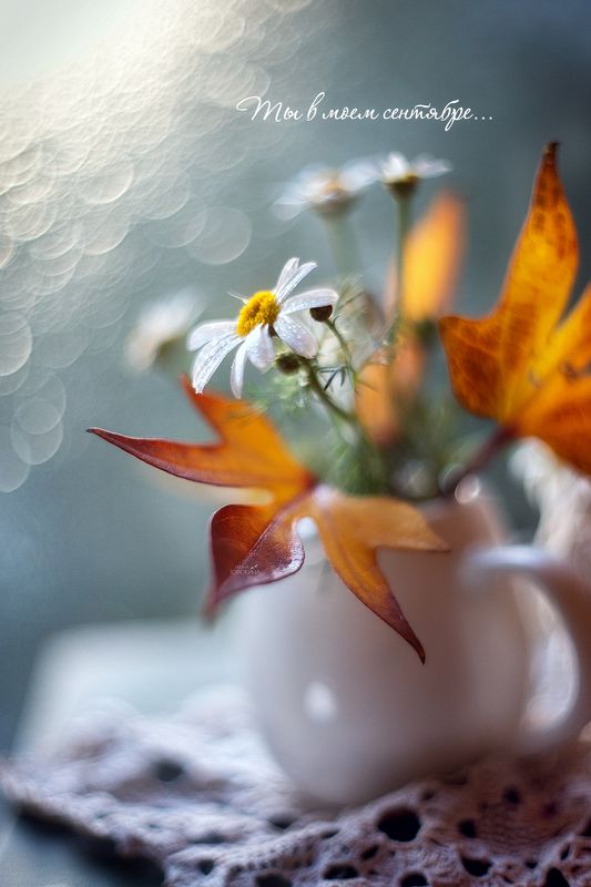 сентябрь, осенний поцелуй красками,гелиос 44 ,старый объектив, жизнь Ты в моем сентябре фото превью