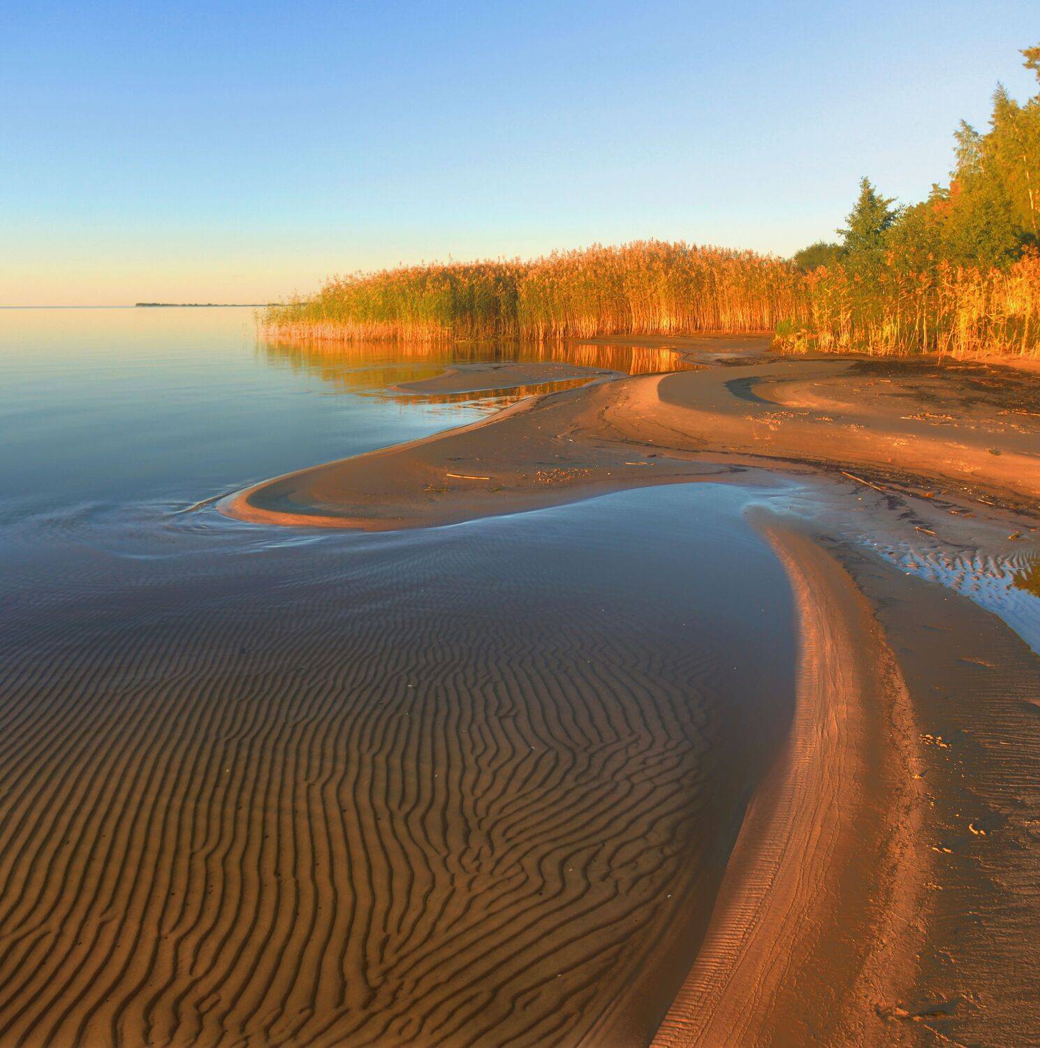 , Сергей Григорьев