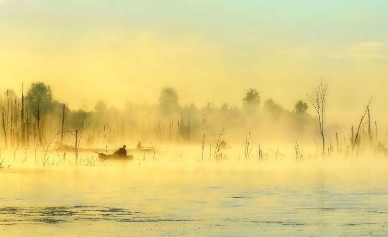 Рассвет в затопленном лесу фото превью