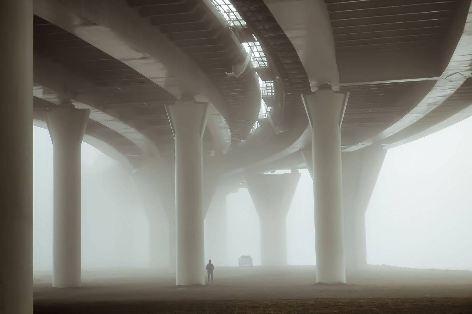 prospect, Алёна Дьяченко