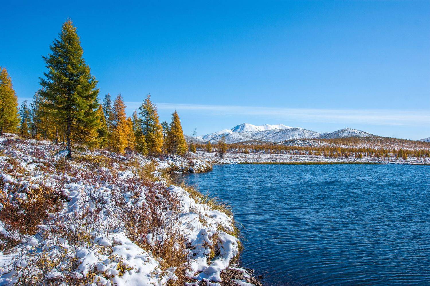 , Андрей Загребельный