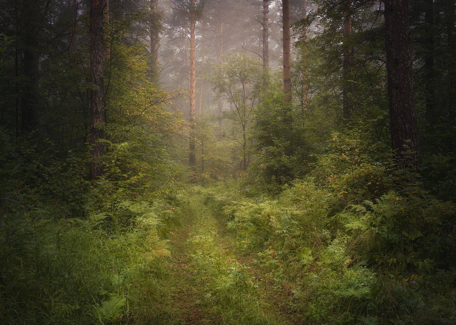 , Татьяна Бирюкова