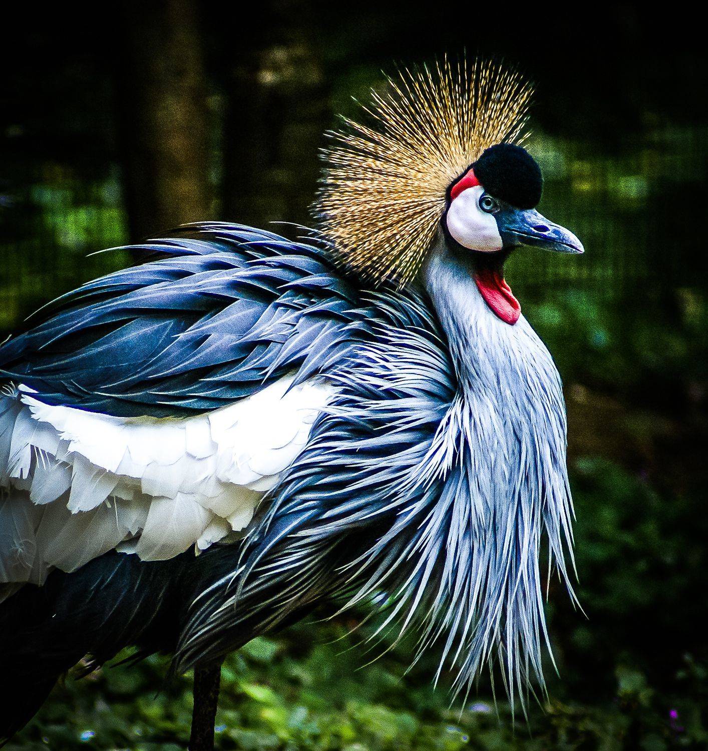 , Максимова Дария