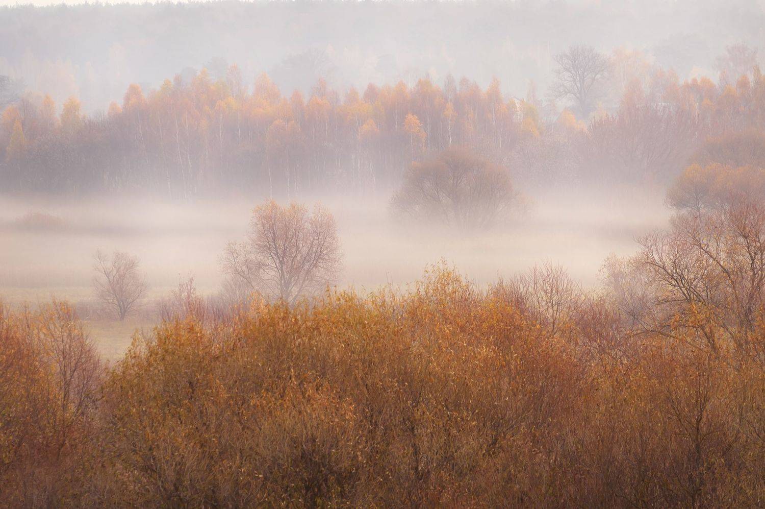 , Юлия Лаптева