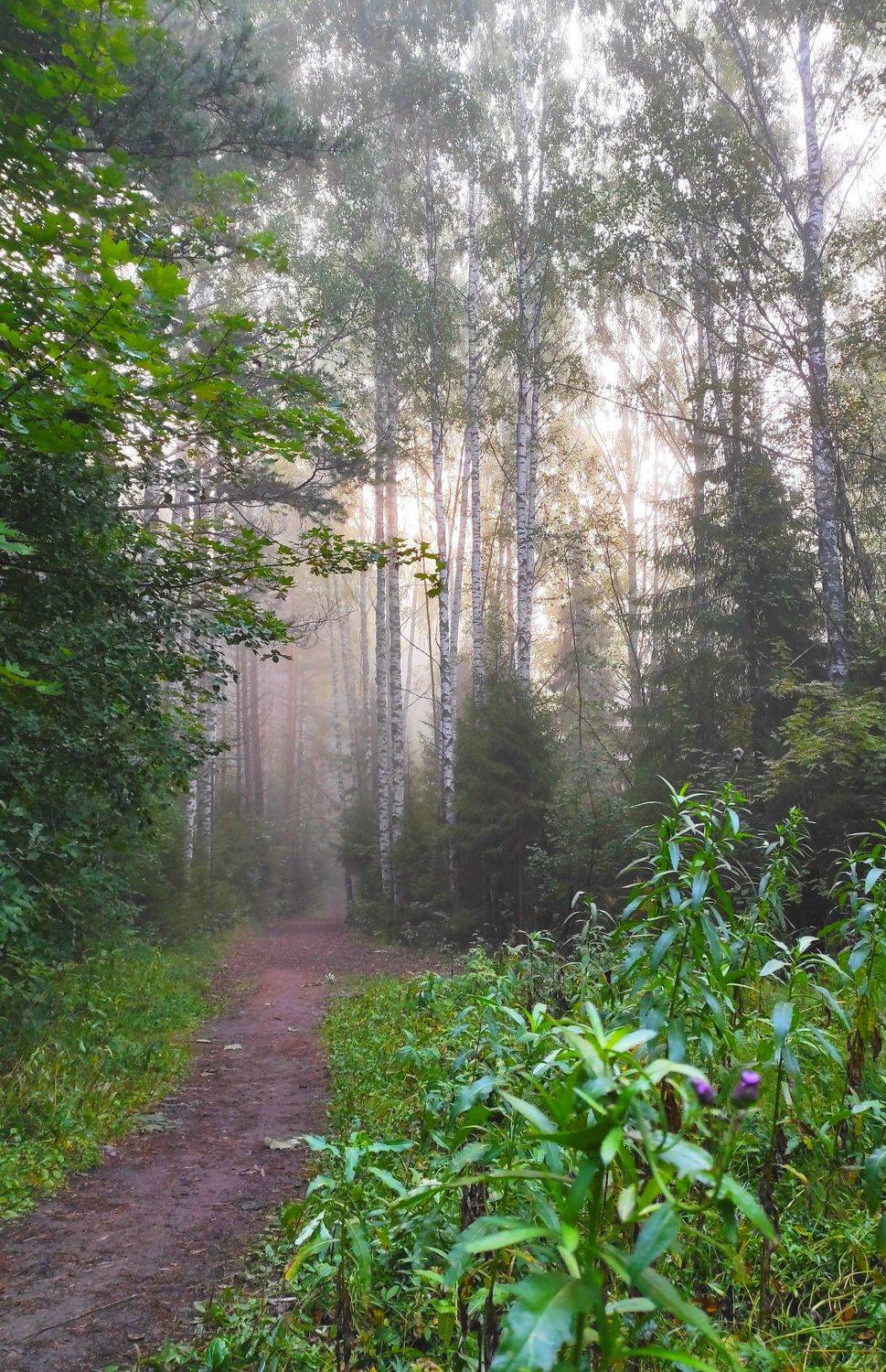 , Андрей Перешеин