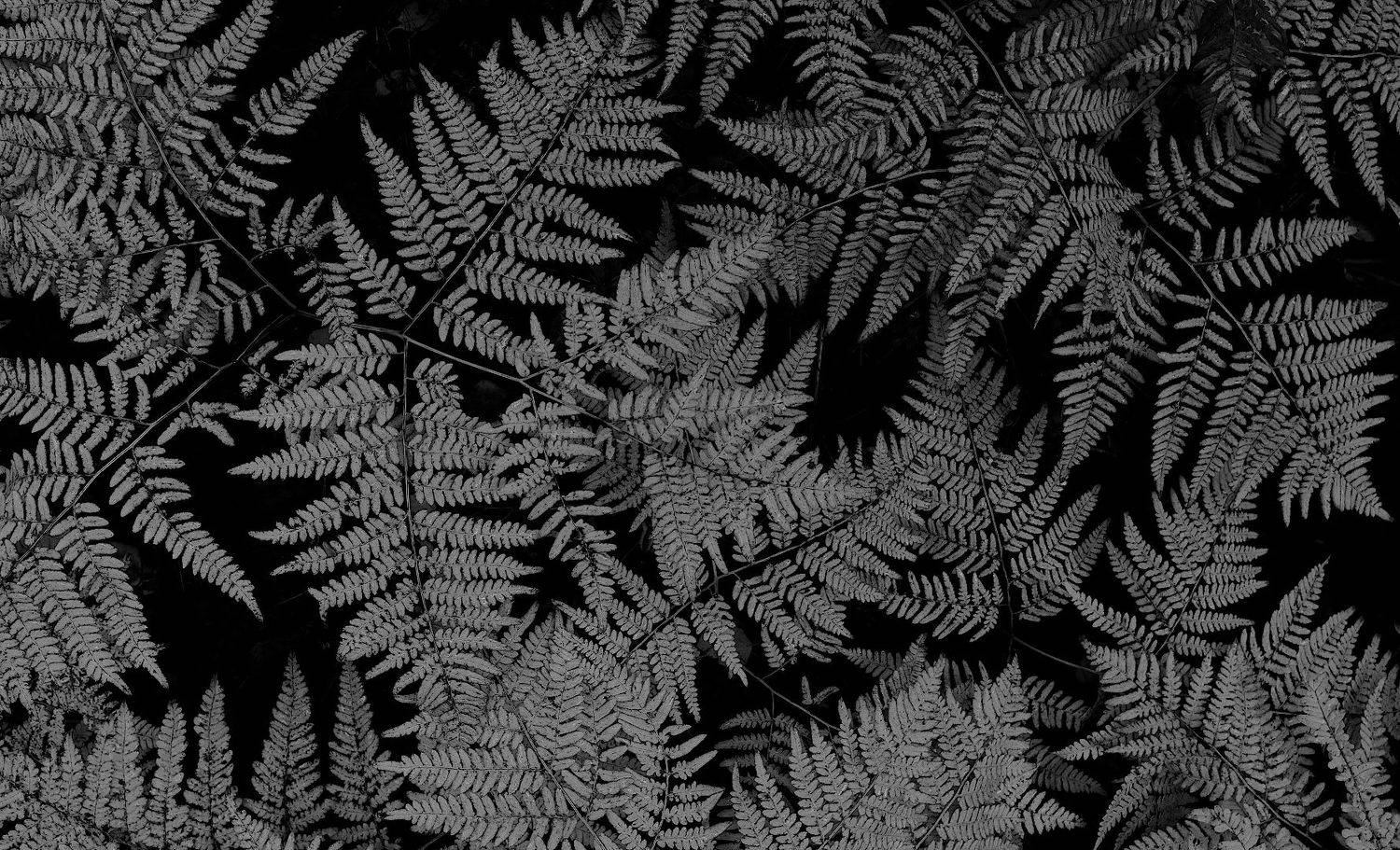 , Александр Зорин