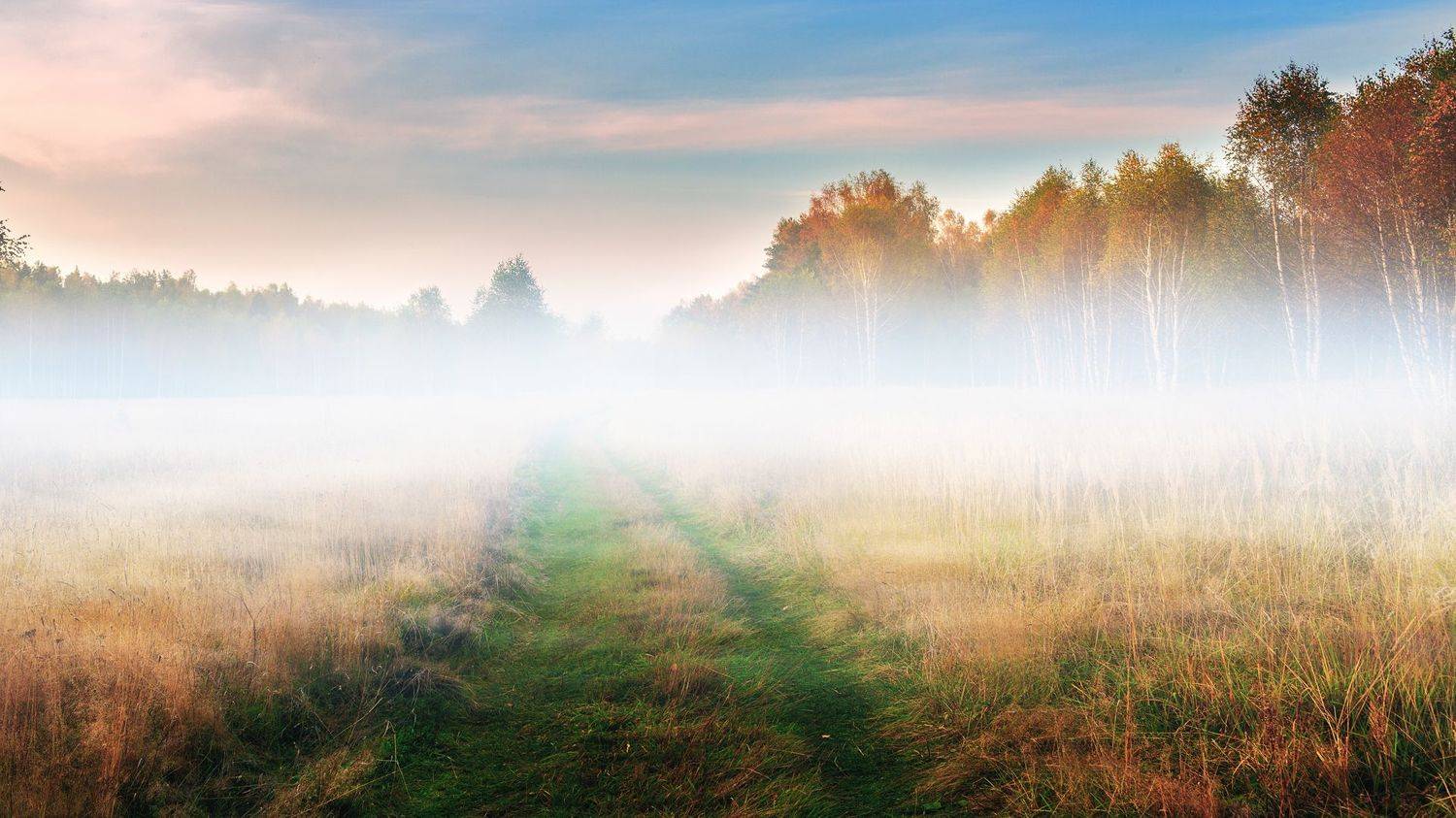 , Фотов Ренат