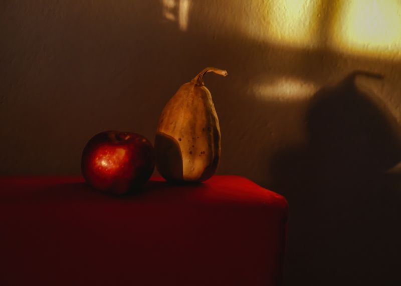 apple,red,stillife,photography Red Apple фото превью