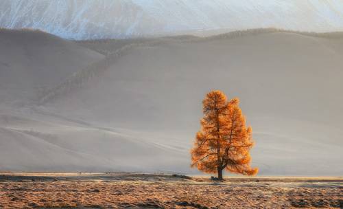 Осенние зарисовки