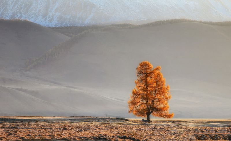 Осенние зарисовки