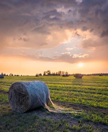 Переменчивая погода