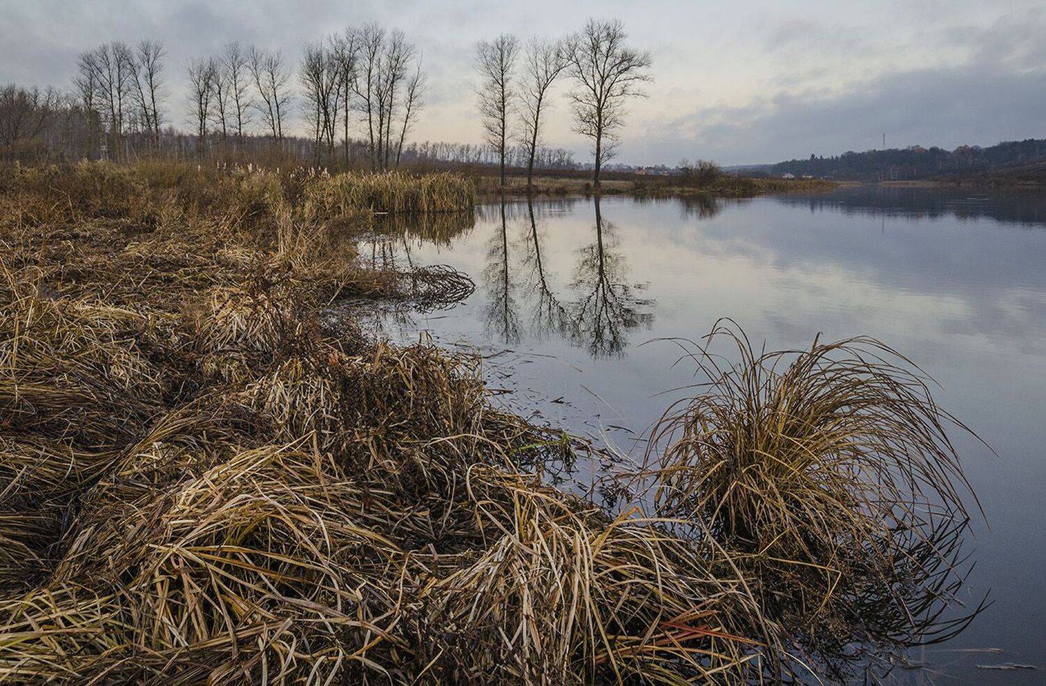 осень, ноябрь, архангельское, Михаил Агеев
