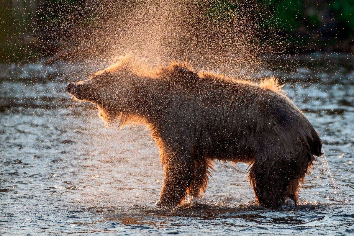 , Юрий Гордонов