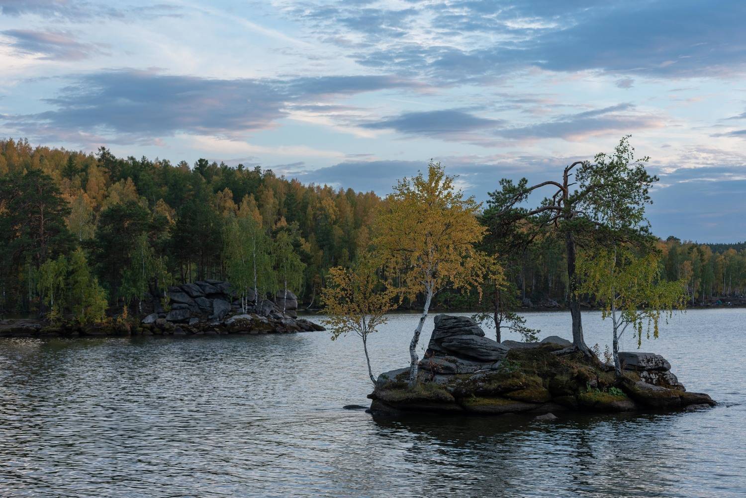 , Ватрушкин Максим