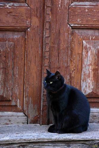 The Guardian
