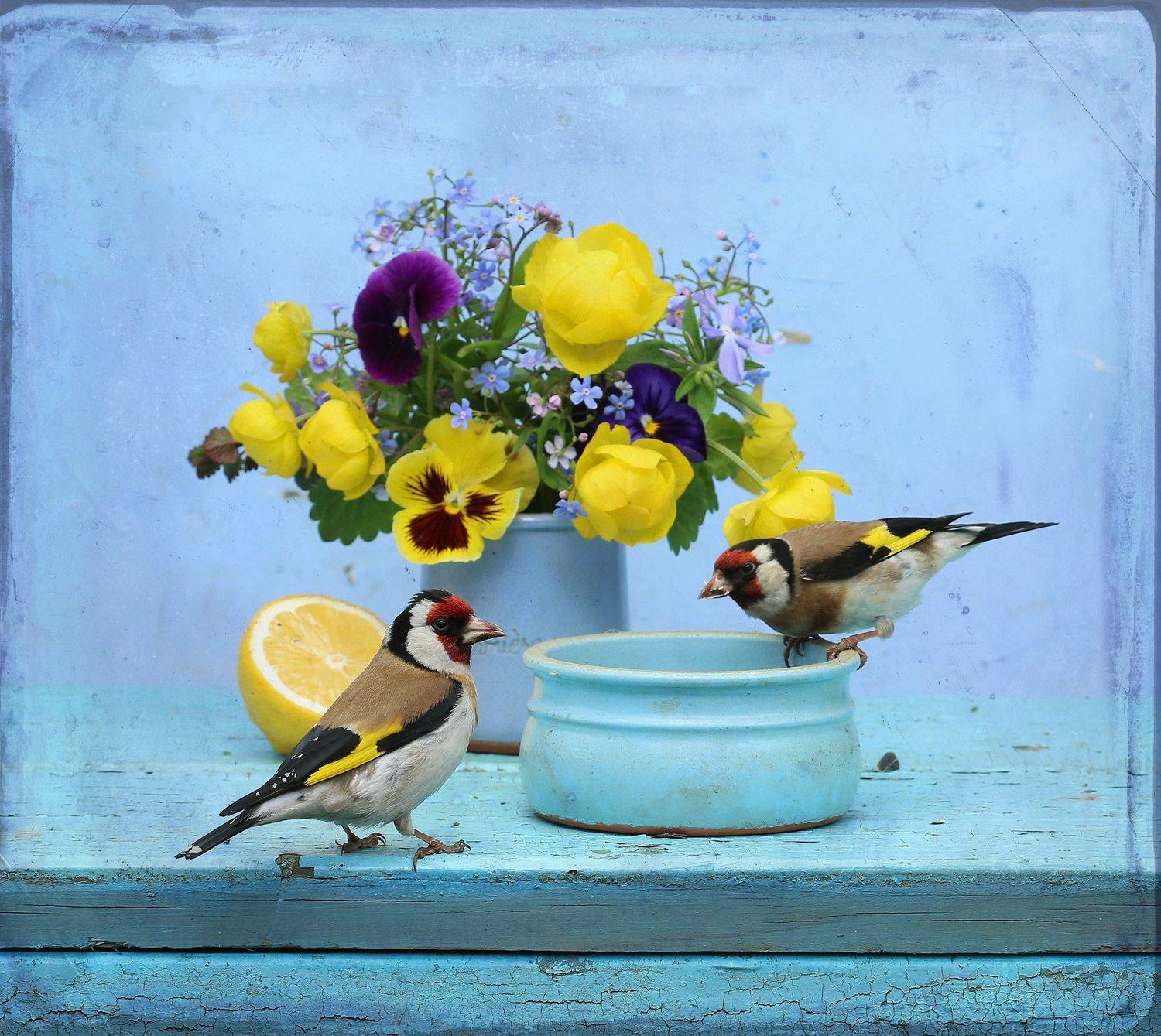 , Хромушин Олег