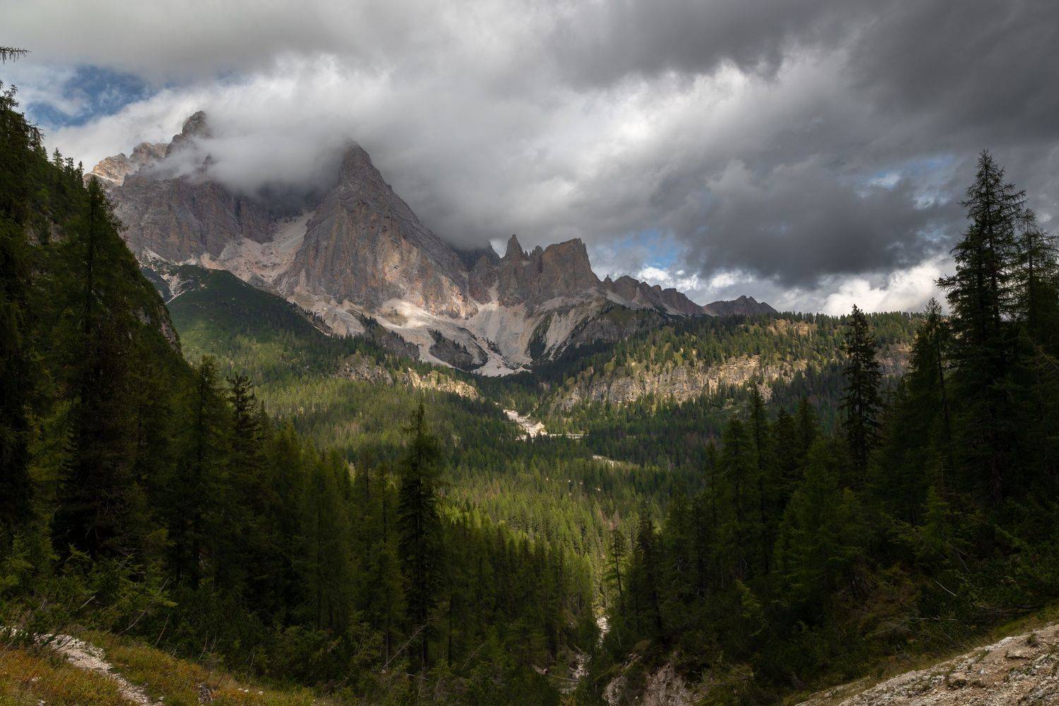 , Евгения Чех