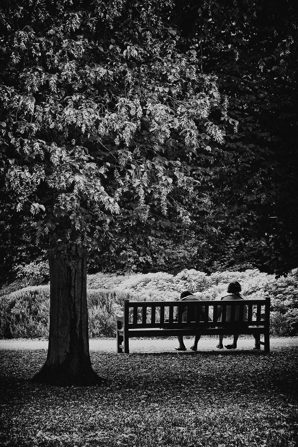 , Елена Лаврова