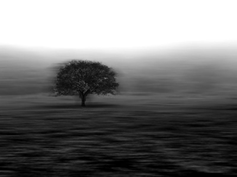 Lonely фото превью