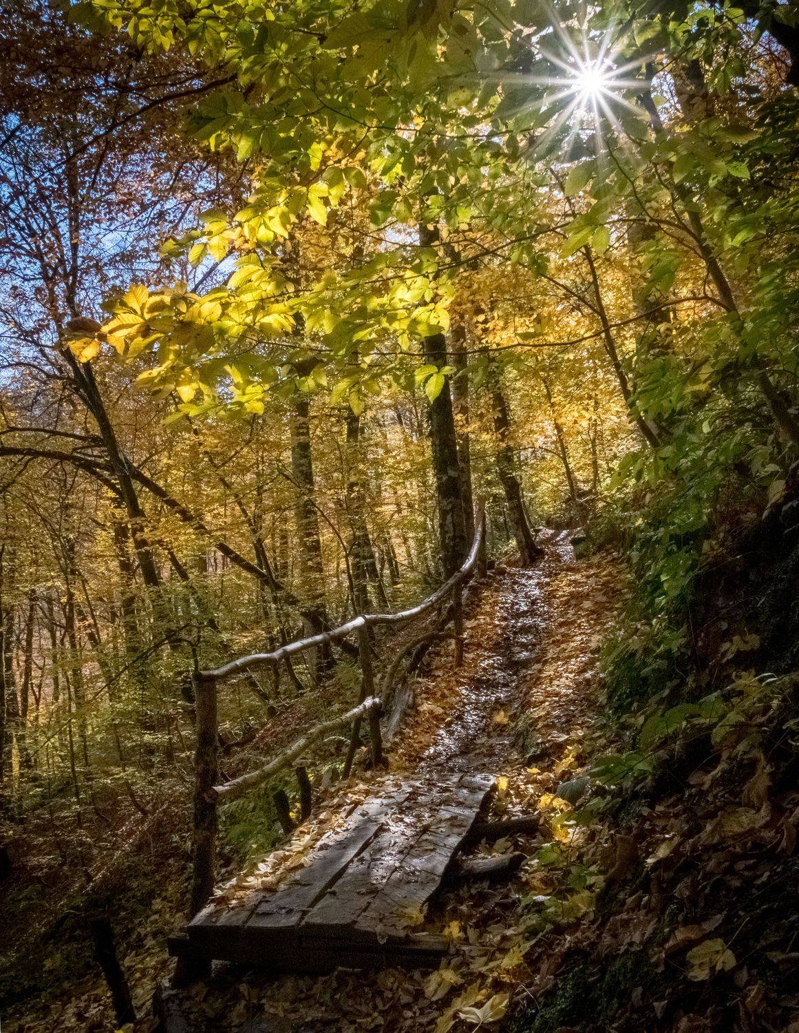 осень, что такое осень?, нд, красная поляна, роза хутор, тропа, autumn, krasnaya polyana, rosa khutor, trail, сентябрь, кавказ, северный кавказ нд, северный кавказ, Nadezhda Demkina