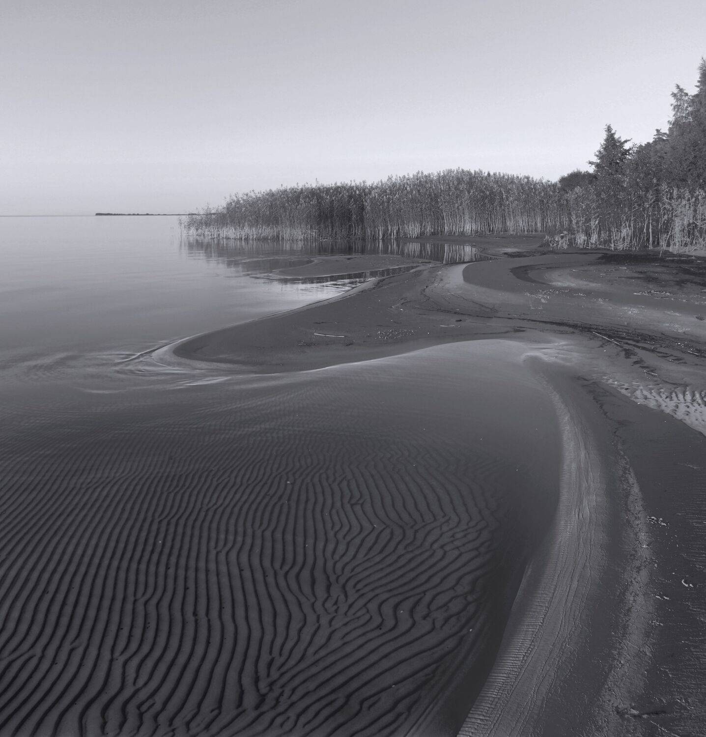 , Сергей Григорьев