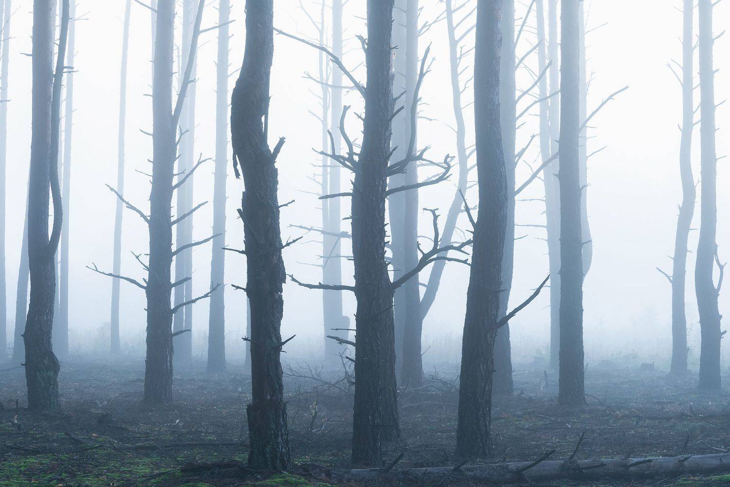 , Захаров Дмитрий