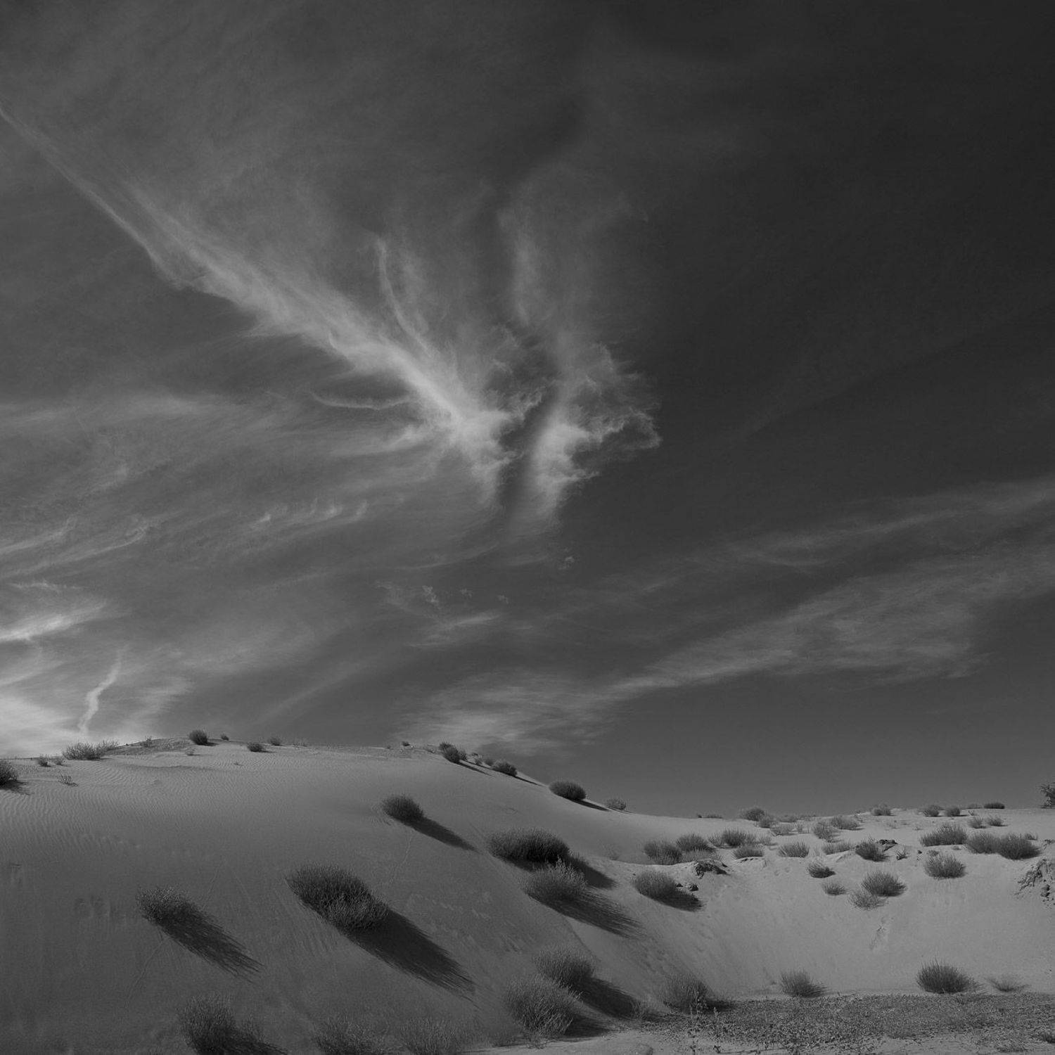 дюна песок, Виктор Кириллов