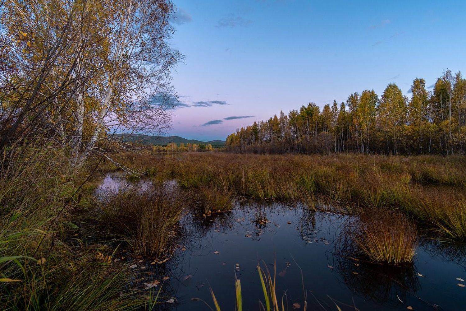 , Комеров Роман