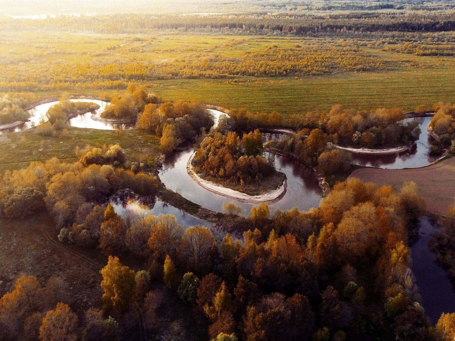 валдай, Тимофей Шутов