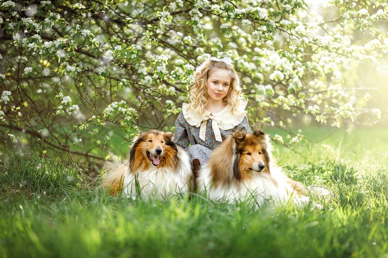 детский портрет, семейная фотография  фото превью