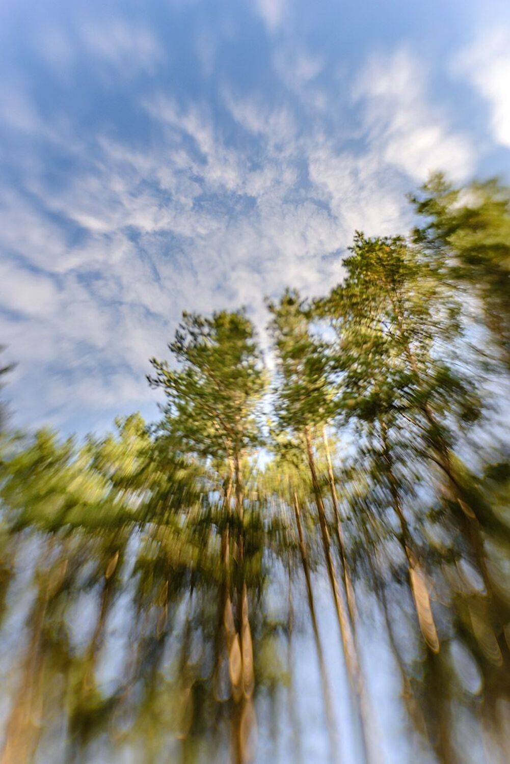 сентября 2022, Наиля Гарифуллина