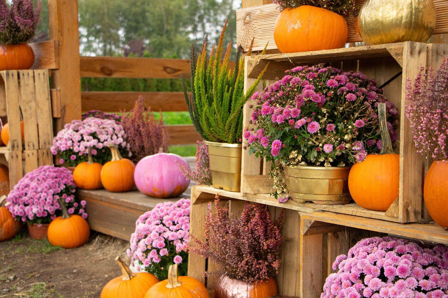 , Жорнова Светлана