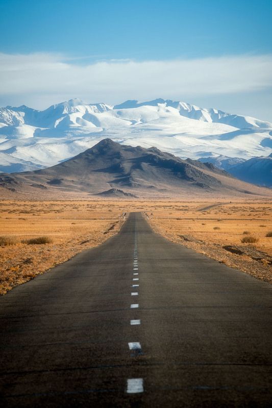 The road