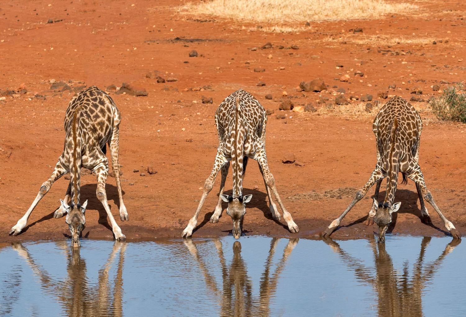 , Юрий Гордонов