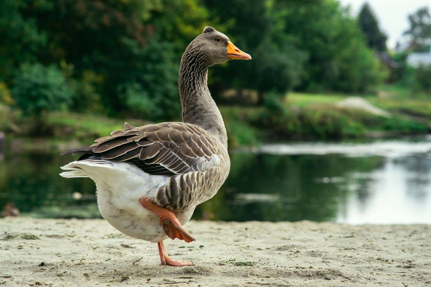 , Юрий Вертиков