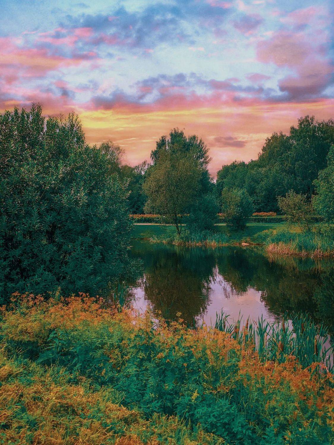 закат, sunset, лес, пруд, forest, пейзаж, landscape, nature, природа, Julia Kaissa